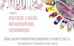 ChiodoPRO Warsztaty Manicure - Postacie z bajek / Micropainting/Cieniowanie - 08.07.2018 Opole