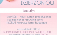 ChiodoPRO Szkolenie AcrylGel +Bonus - Silhouette DCD Dzierżoniów - 01.10.2018