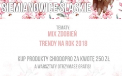 CHIODOPRO WARSZTATY MANICURE HYBRYDOWY - SIEMIANOWICE ŚLĄSKIE 17.02.2018 - COSMO ACADEMY